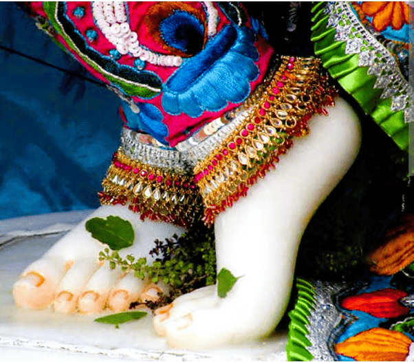 Tulsi leaves on the feet of lord krishna highlighting its cultural and spiritual significance